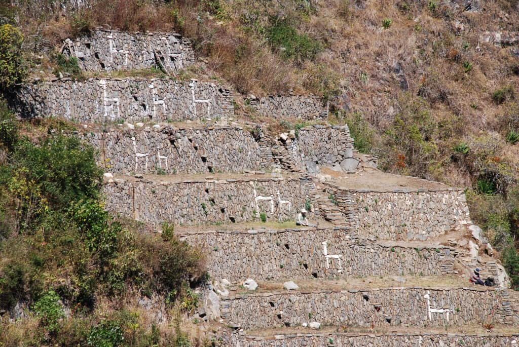 llama-terraces-choquequirao-ruins