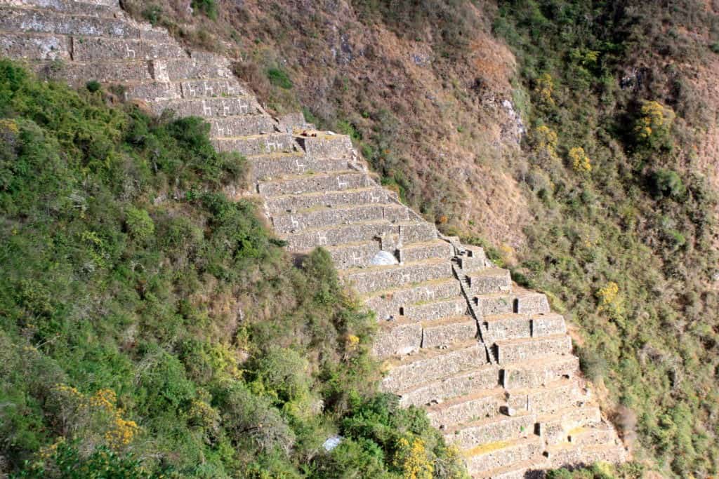 llama-sector-Choquequirao