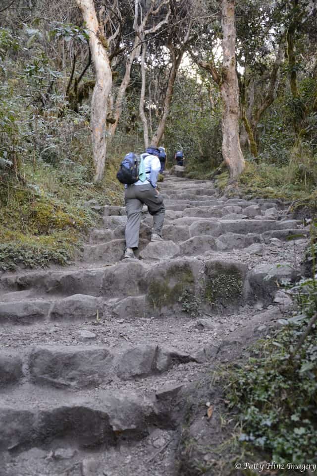 stone-steps-inca-trail