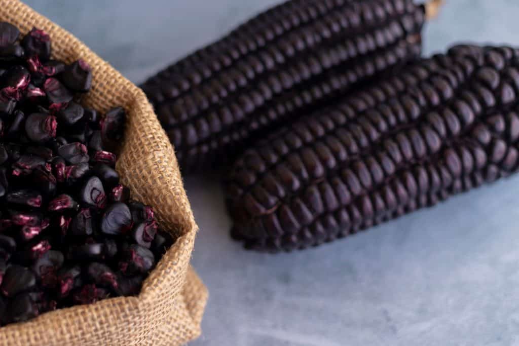 maiz-morado-peruvian-purple-corn