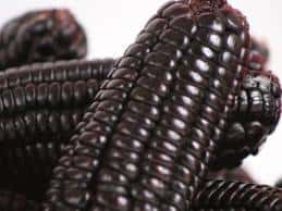 maiz-morado-peruvian-corn