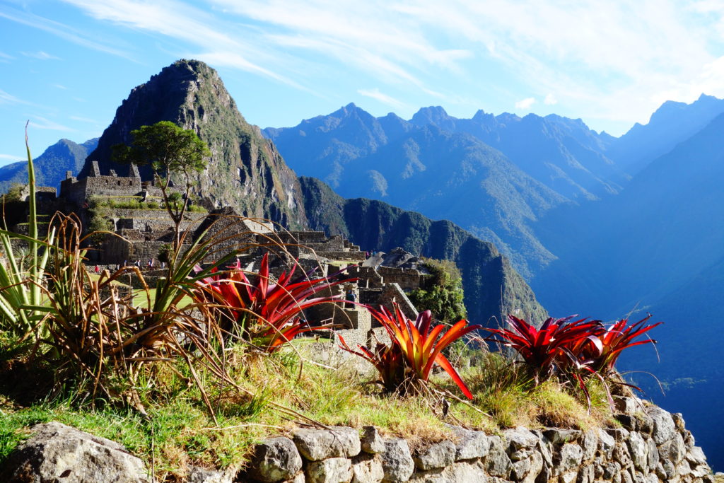 machu-picchu-view-plants