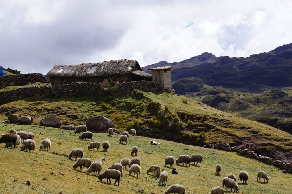 lares-village