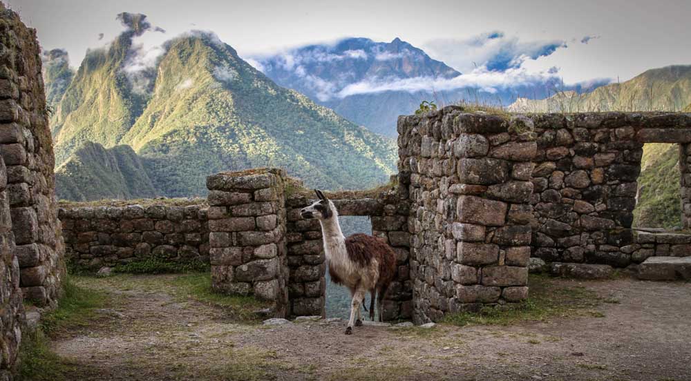 Random Things to Know about Trekking the Inca Trail