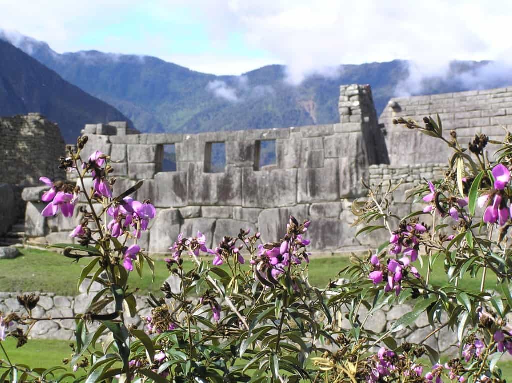 machu picchu ruins