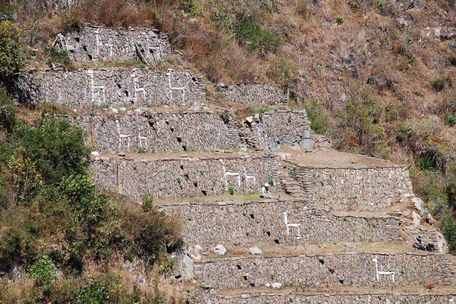 choquequirao-ruins-llamas