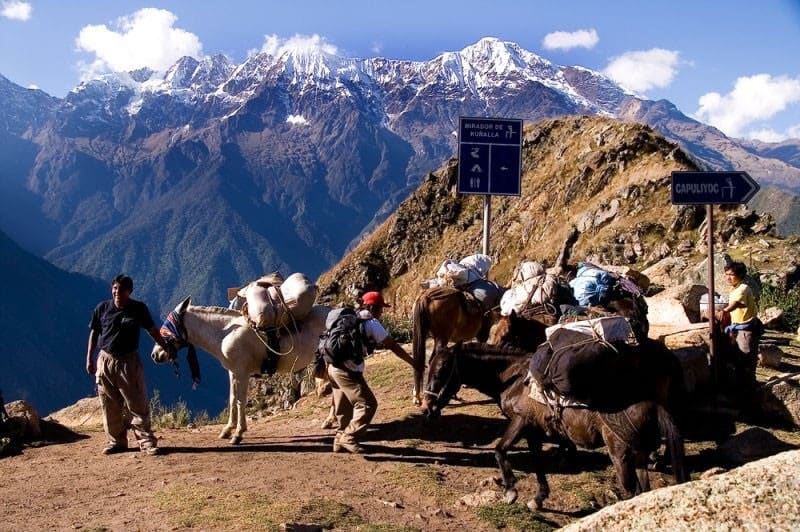 Choquequirao-trail-horses