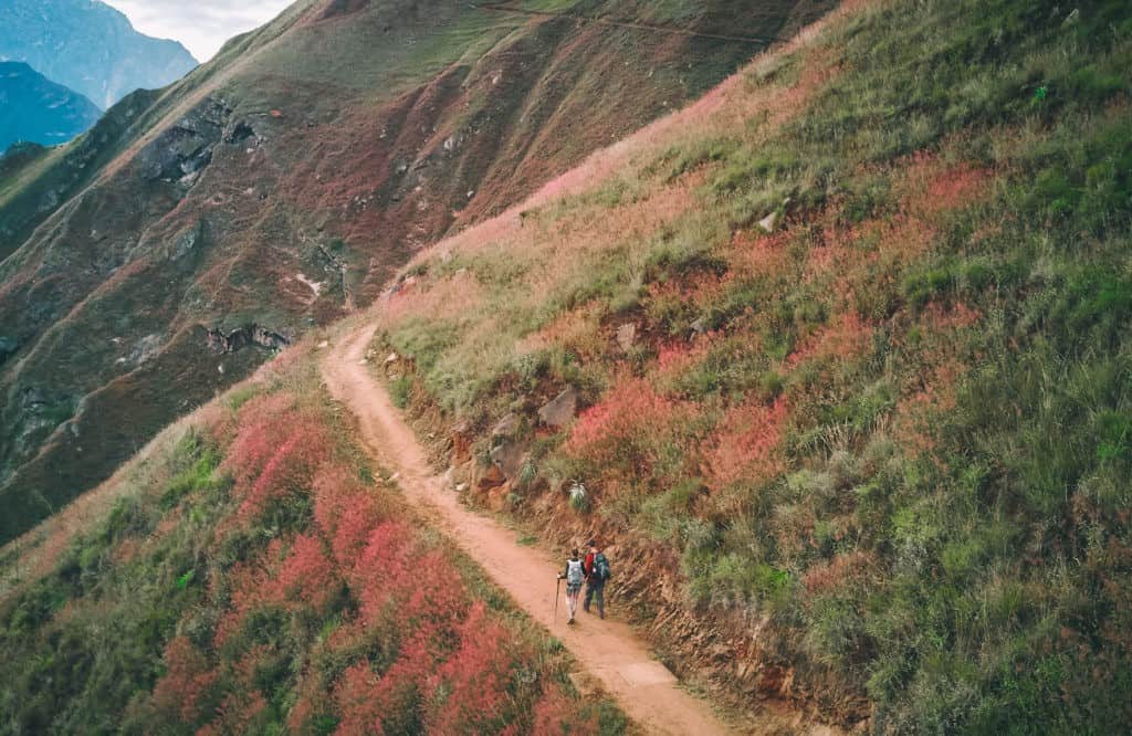 choquequirao-trek-review