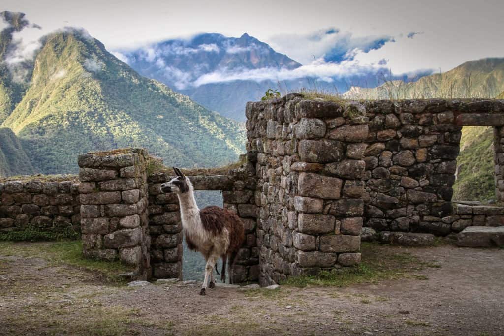 inca-trail-5d-ruins