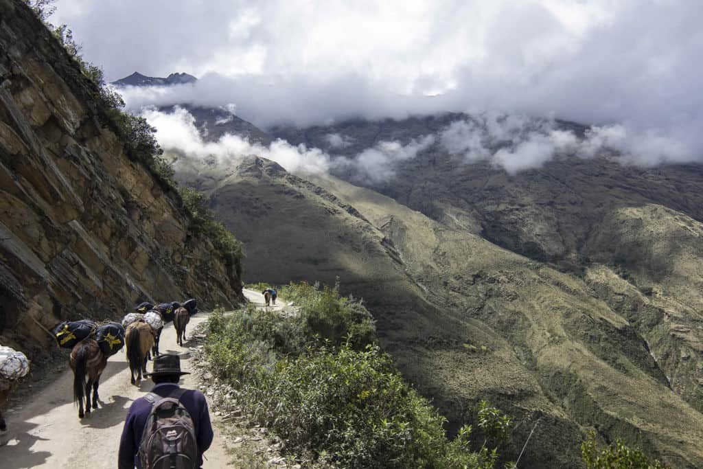 Salkantay trek