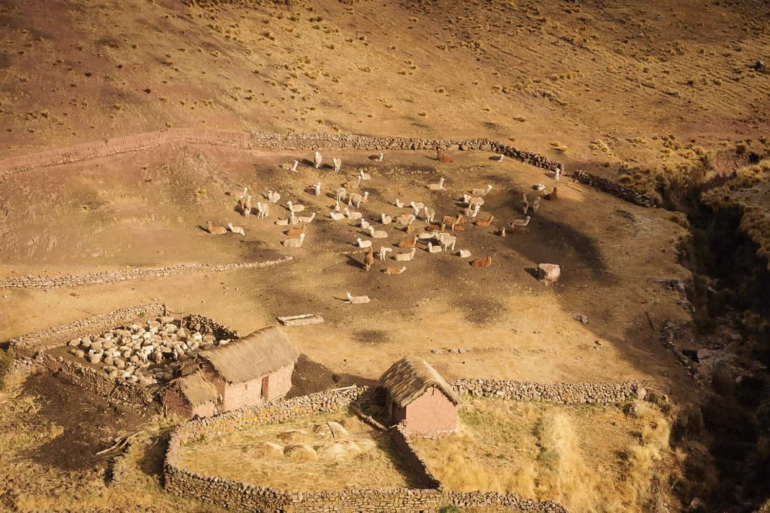 Traditional Andean community