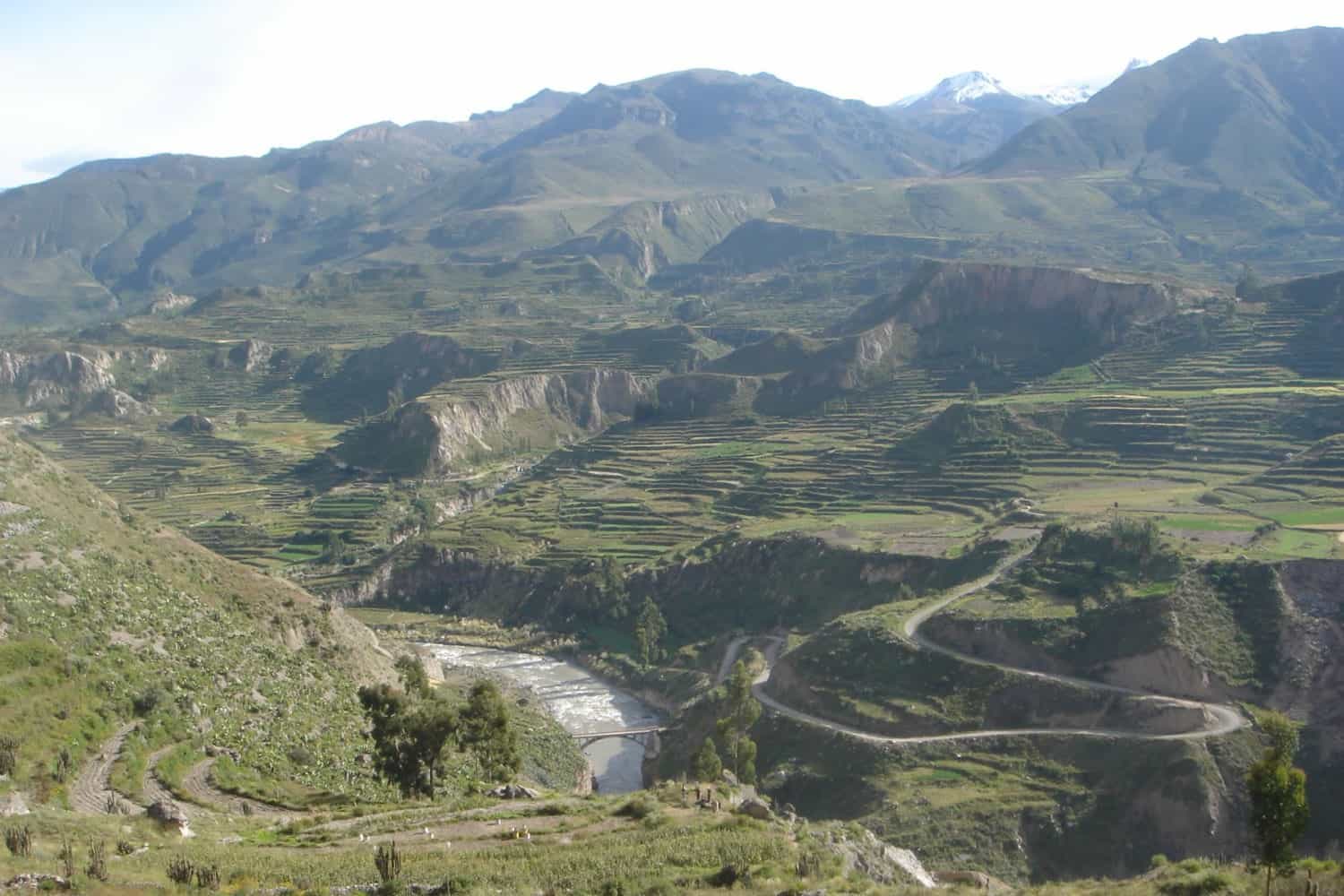 Colca Canyon Arequipa Peru