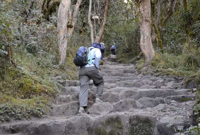 Hiking up Dead Woman's Pass on the Inca Trail, Inca Trail facts 