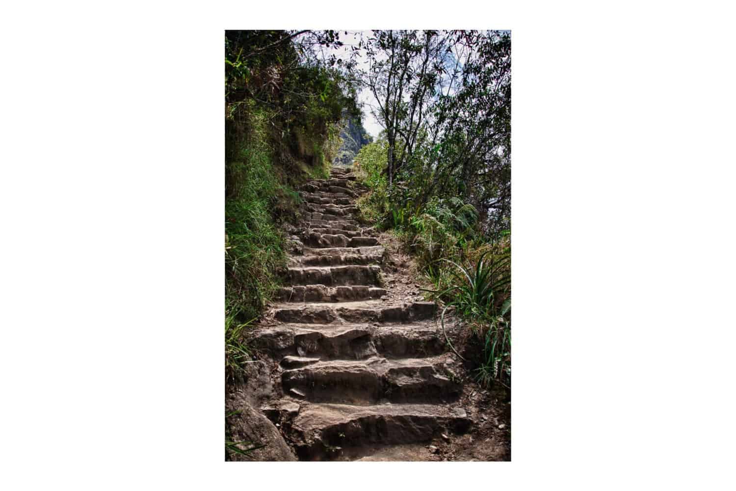 Incan steps Machu Picchu Inca Trail