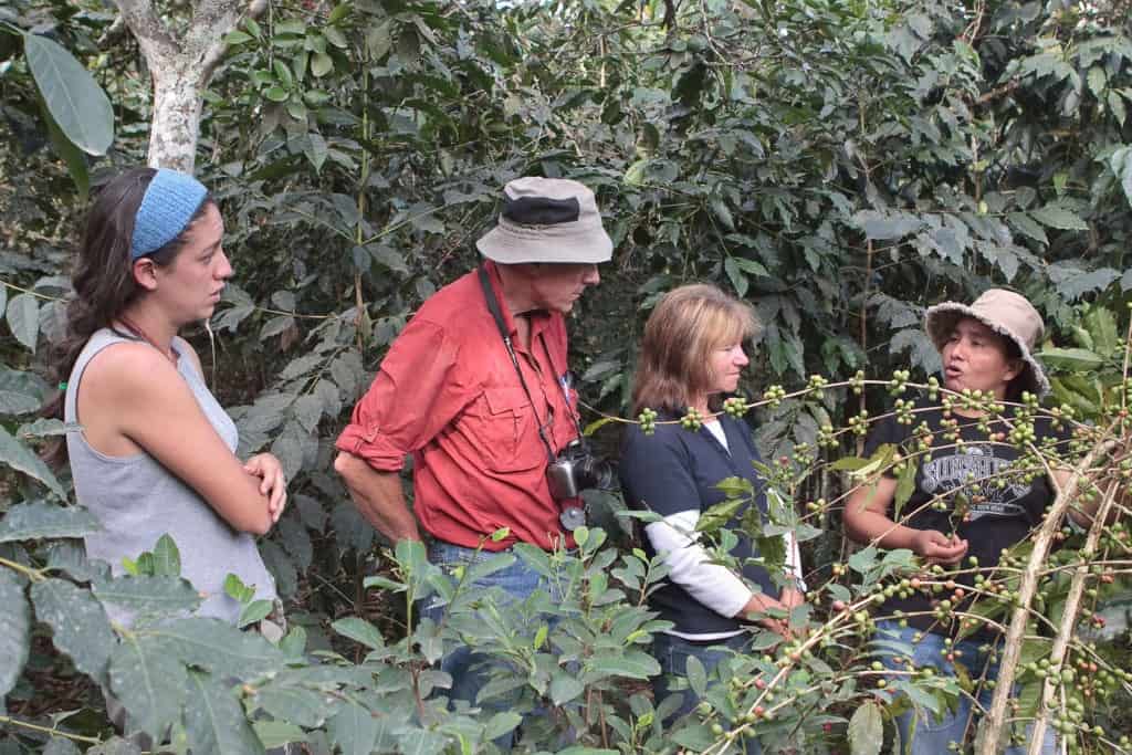 Lucmabamba homestay learn about coffee