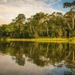 amazon jungle of Peru