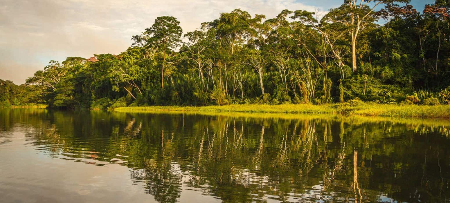 amazon jungle of Peru