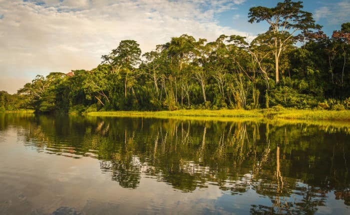 amazon jungle of Peru
