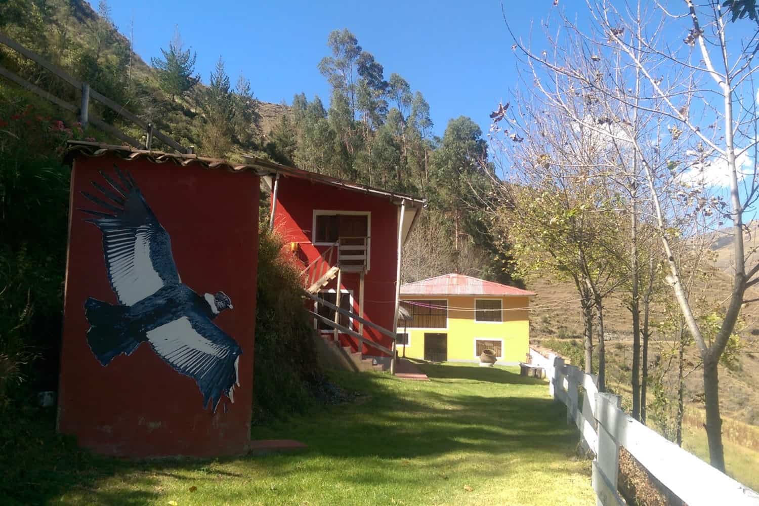 11Condor lodge