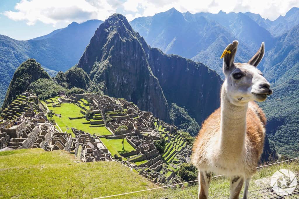 llama-at-Machu-Picchu Packing for Peru: The Ultimate Packing List for your Peru Adventure