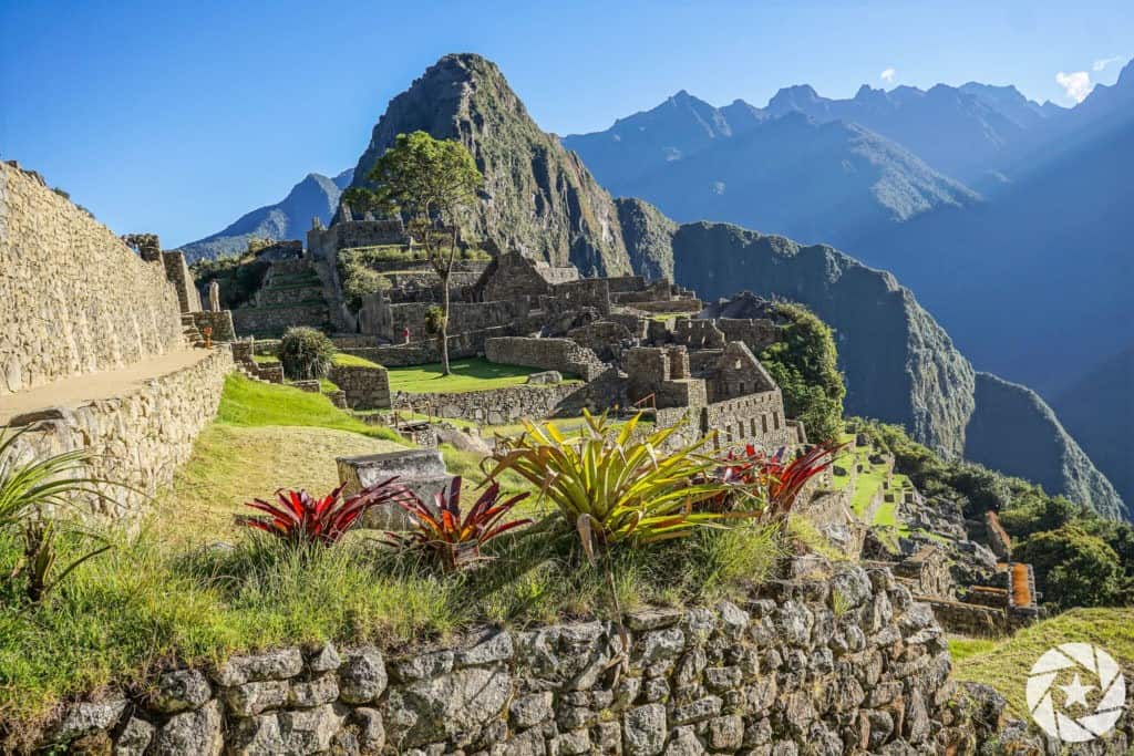 Machu Picchu with plants
