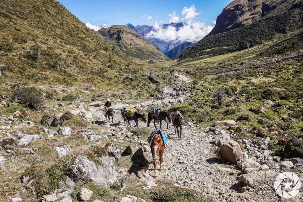 Salkantay Trail with horses