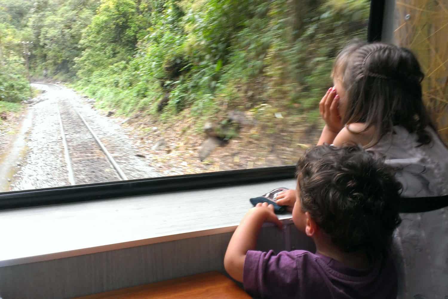 Train-to-Machu-Picchu