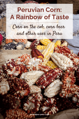pinterest-peruvian-corn-blog