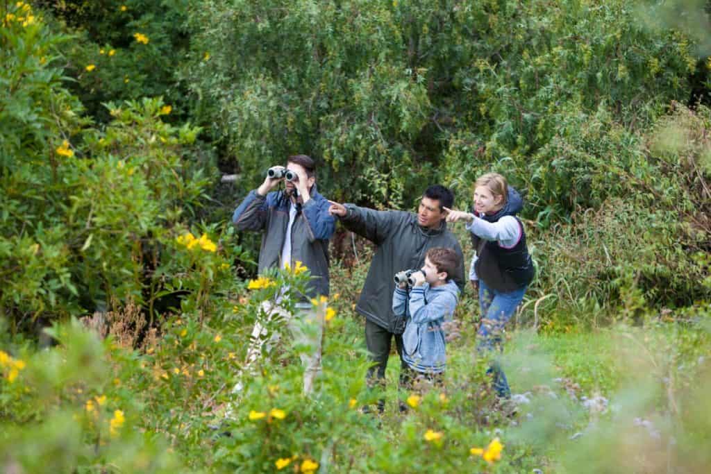 sustainable-travel-bird-watching