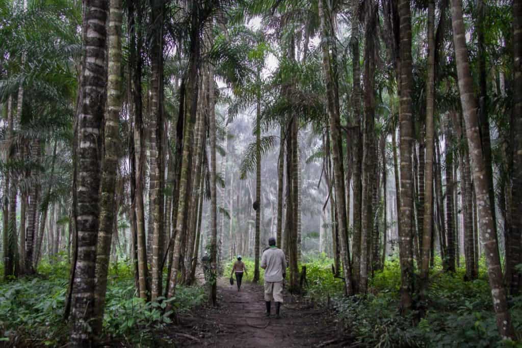 peruvian amazon tours