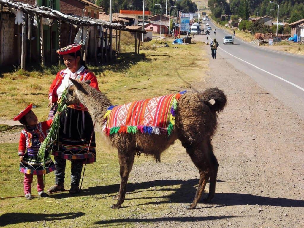 What Is Peru Famous For? Llamas, Llosa and Beyond - Apus Peru Adventure  Travel Specialists