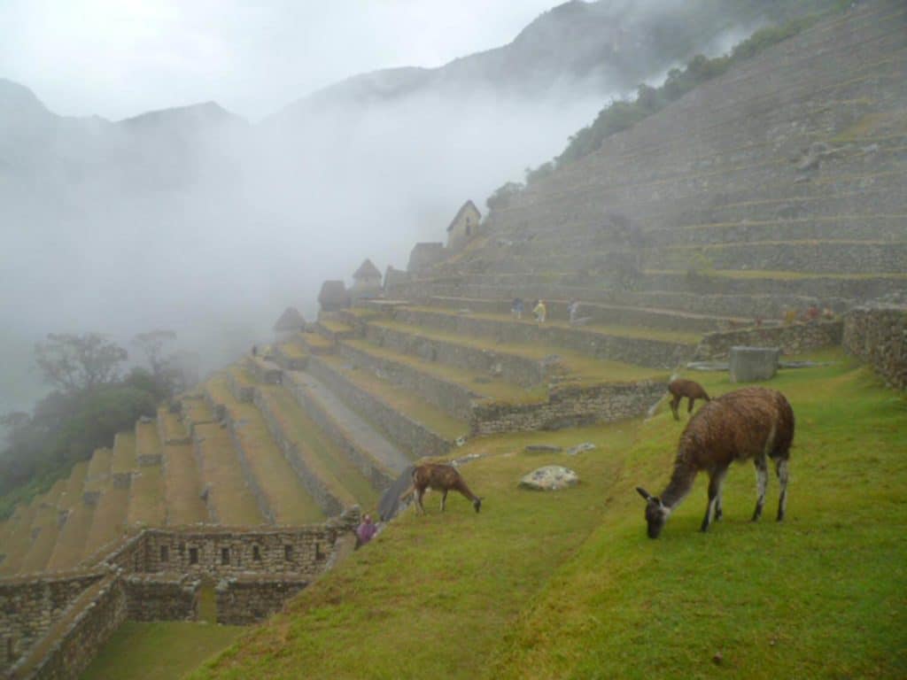 machu-picchu-ruins