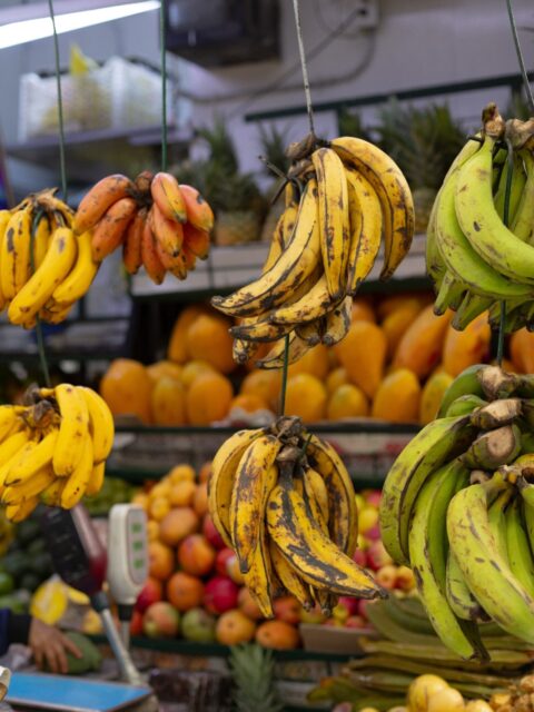 Discover the vibrant local markets of Peru – one of the best places to experience the country’s incredible food, fresh produce, and everyday culture. From exotic fruits to traditional dishes, there’s so much to explore! Planning a foodie adventure? Reach out to Apus Peru and we’ll help you create the perfect culinary tour. 🌽🍍🥑

#apusperu #culinarytravel #foodlovers #perufood