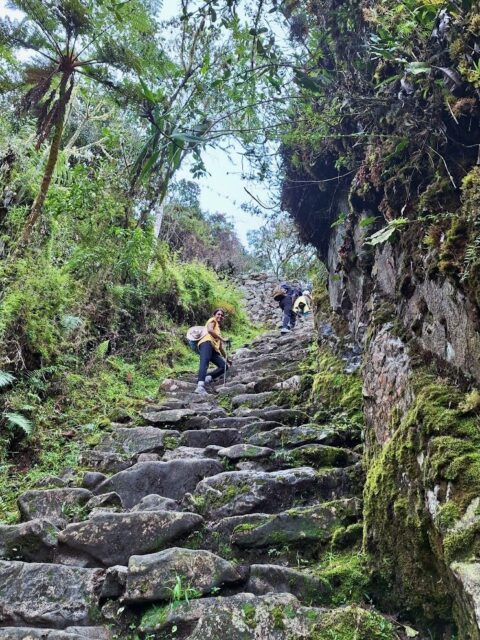 The Inca Trail to Machu Picchu is one of the biggest highlights for trekkers in Peru! Since permits sell out quickly, we highly recommend booking this trek well in advance. Feel free to reach out to us – we’d be happy to help you secure your spot or find a great alternative trek if availability is limited.

Thanks to Ofelia for the beautiful photos!

#apusperu #incatrail #machupichu
