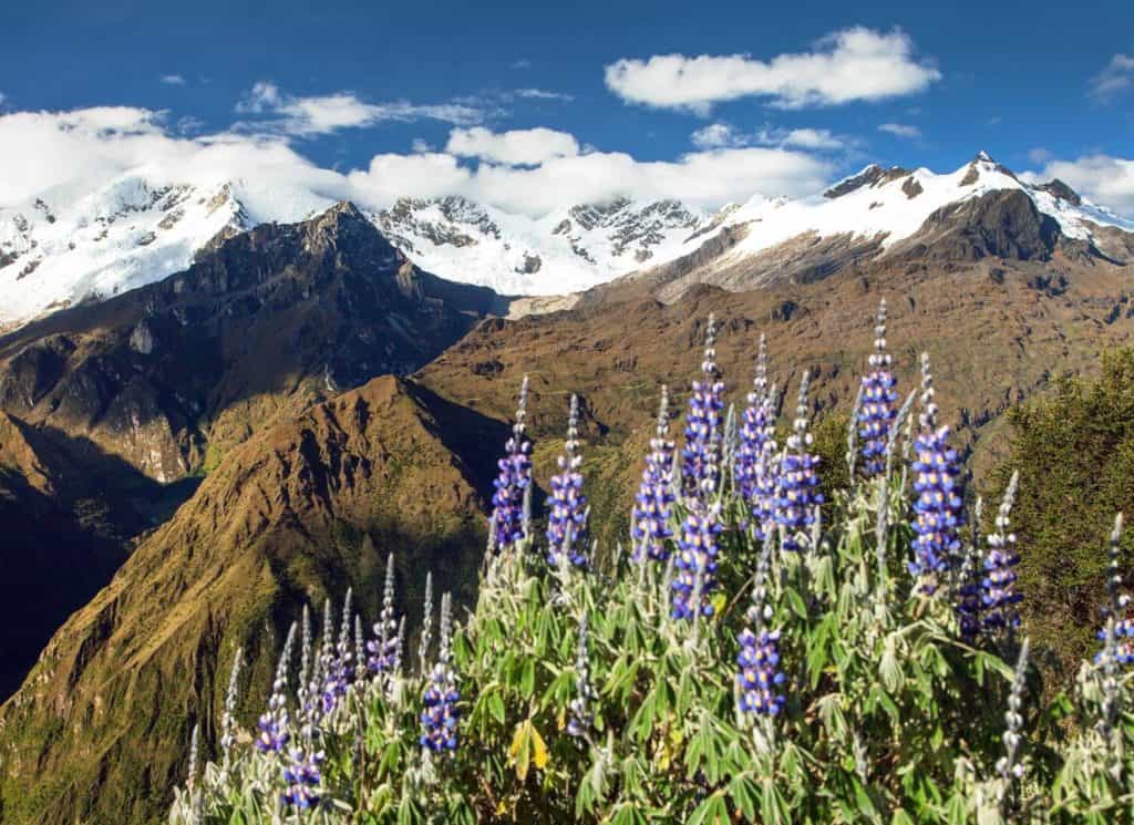 Choquequirao view