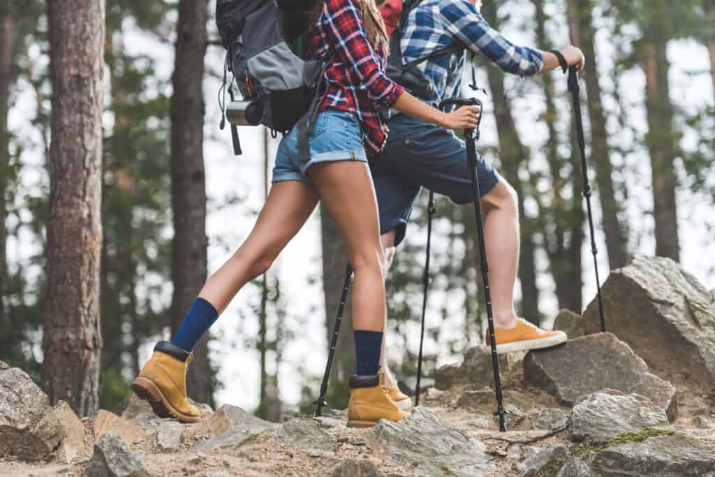 what to look for in a hiking pole, how to buy the best trekking poles, poles for hiking, the best poles for hikes