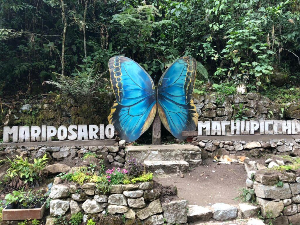 entrance of butterfly sanctuary