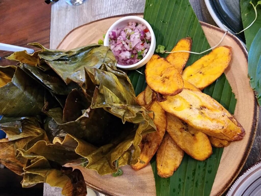 plate full of typical amazonian food