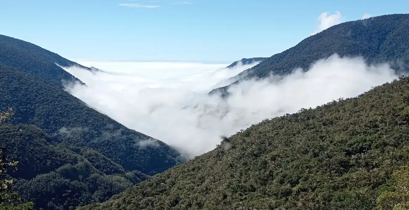 manu national park