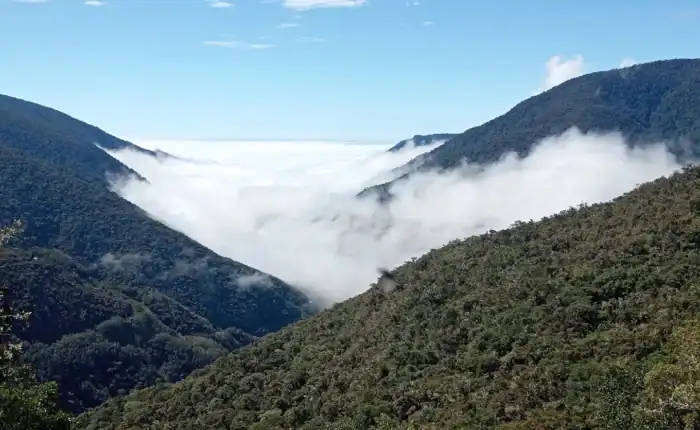 manu national park