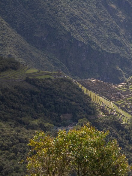 A visit to Machu Picchu is truly a highlight of any trip to Peru. Surrounded by dramatic mountains and rich history, it’s one of those places that feels just as impressive in real life as it does in photos. 🏔️
If Machu Picchu is on your travel list, we’re happy to help you plan your visit and make the experience as smooth and memorable as possible. 💚💚 #apusperu