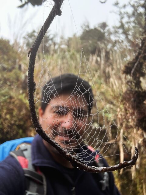 Luxury Inca Trail to Machu Picchu with Greco, our amazing guide 🤩 #apusperu #incatrail #trekkinglife