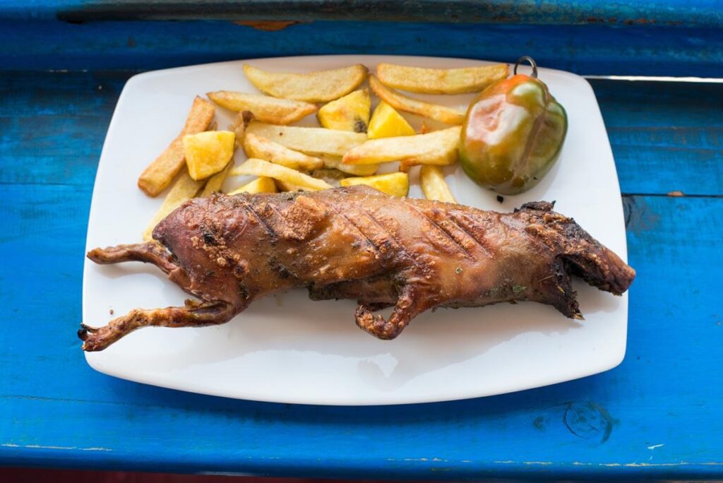 guinea pig, typical peruvian food