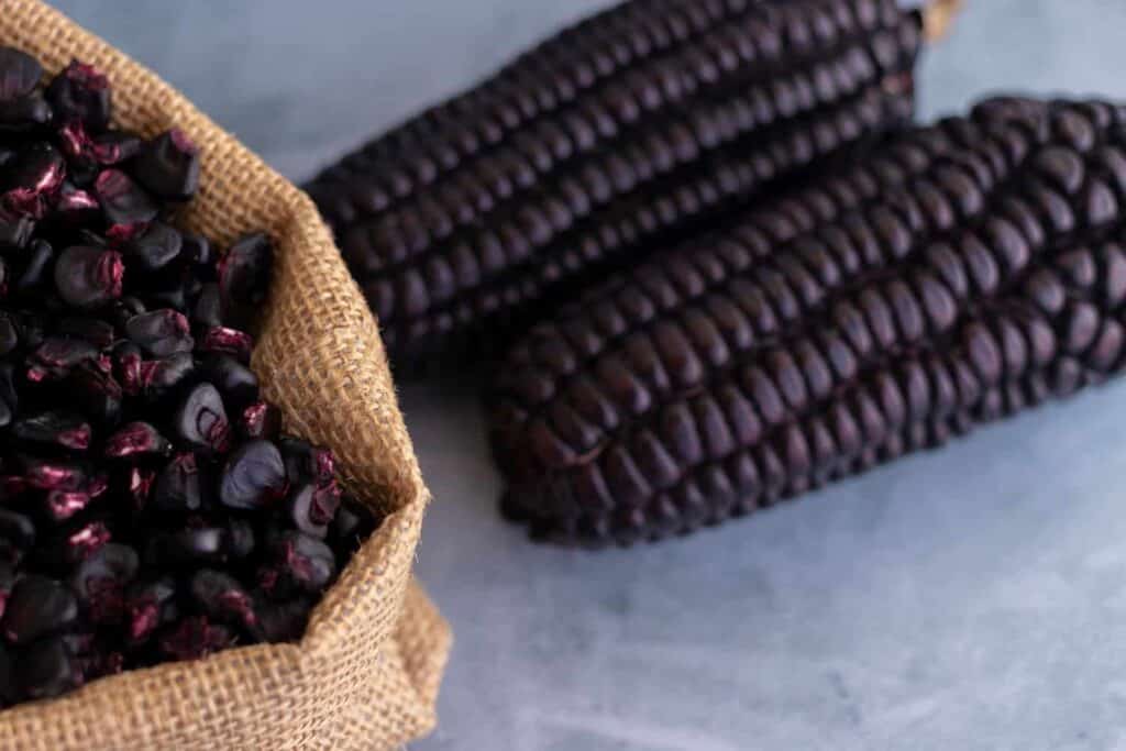 Purple Peruvian Corn: Maíz Morado