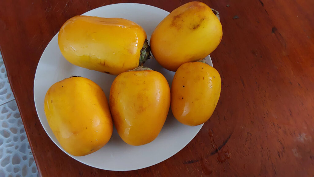 cocona fruits on a plate