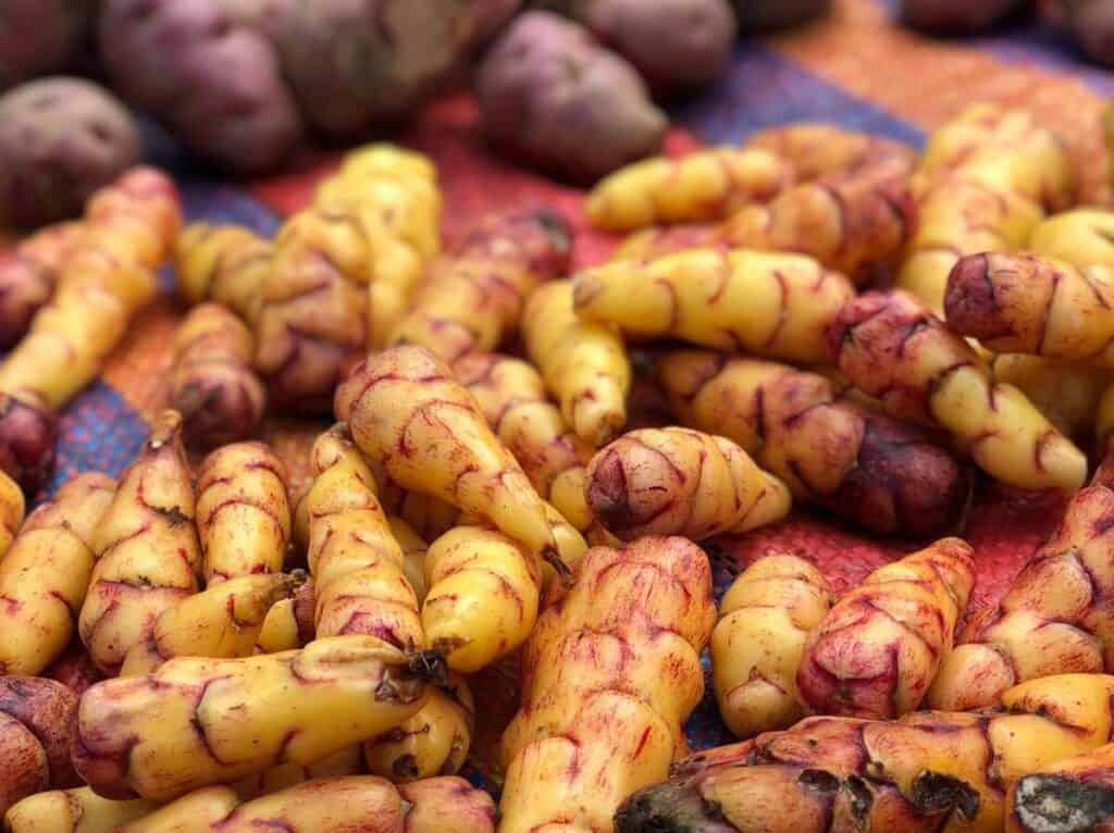 oca tubers in peru