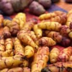 andean tubers