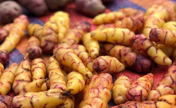 andean tubers