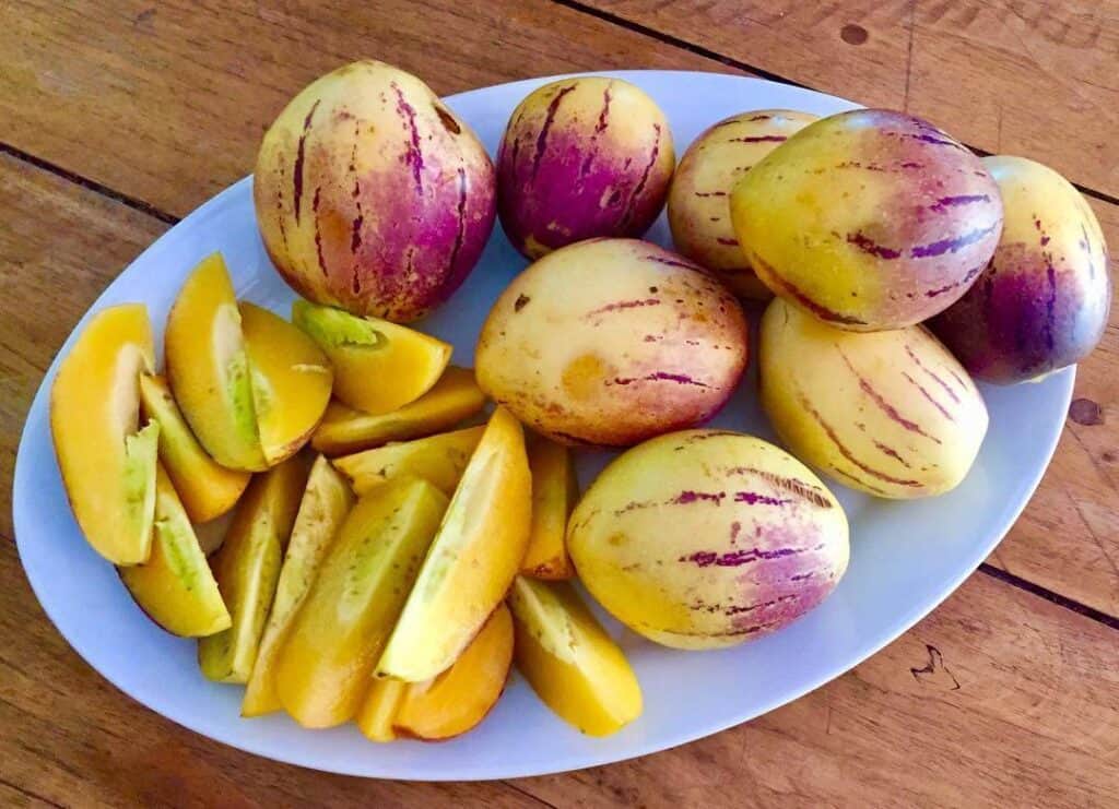 plate full of pepino dulce