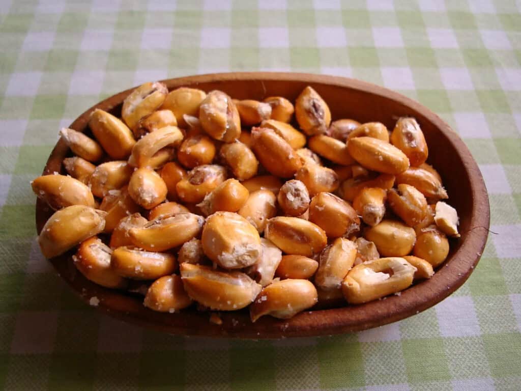 peruvian cancha snack